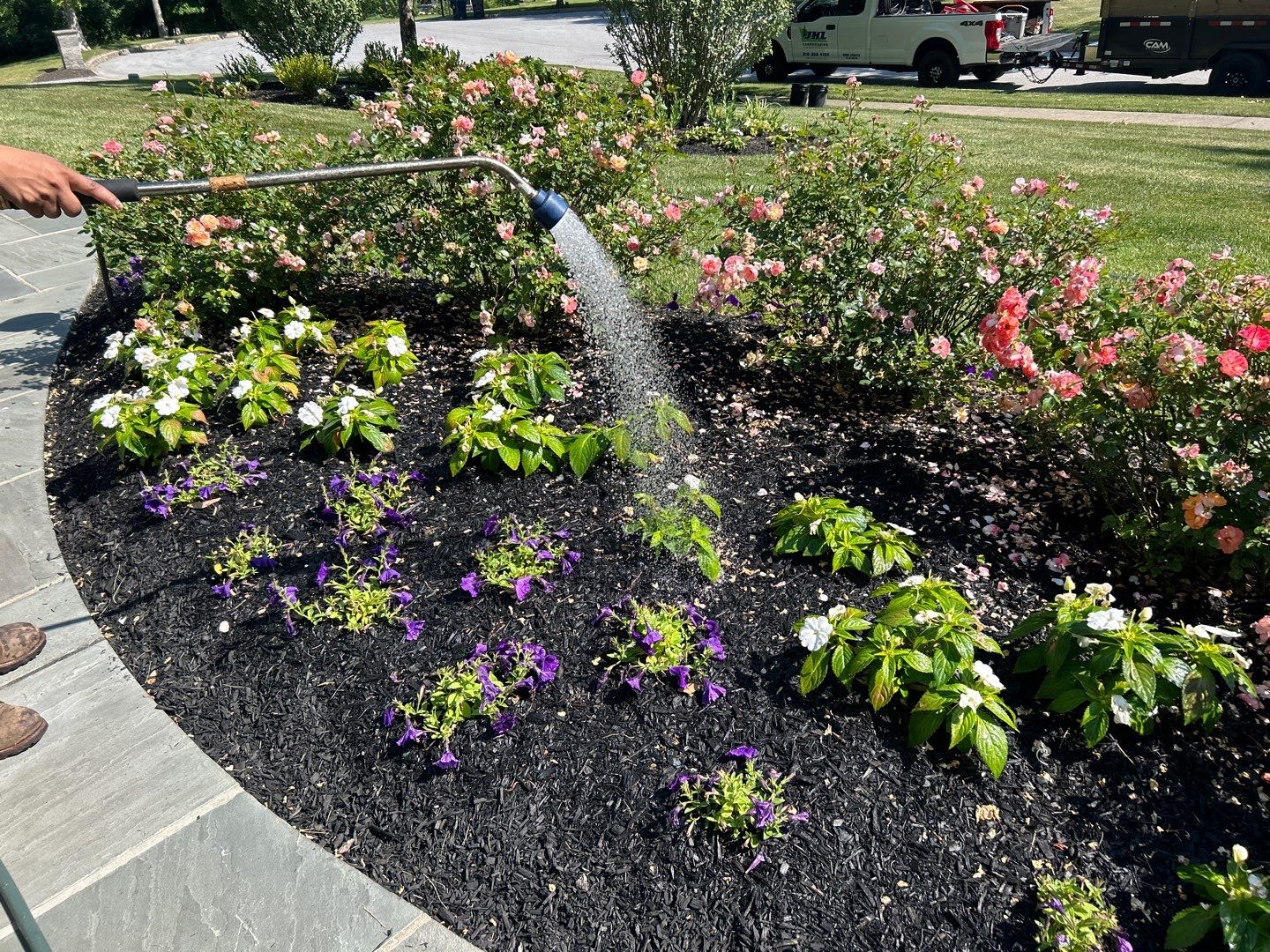 Lawn Care Tips - watering tips