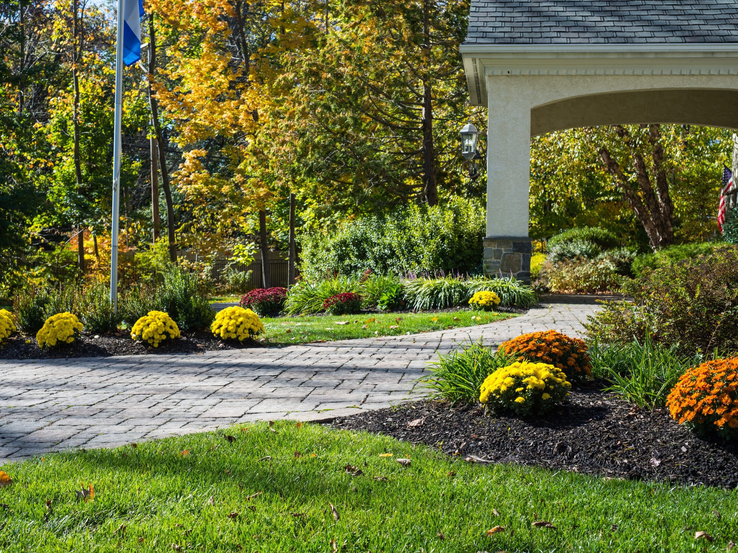 Planting by JHL