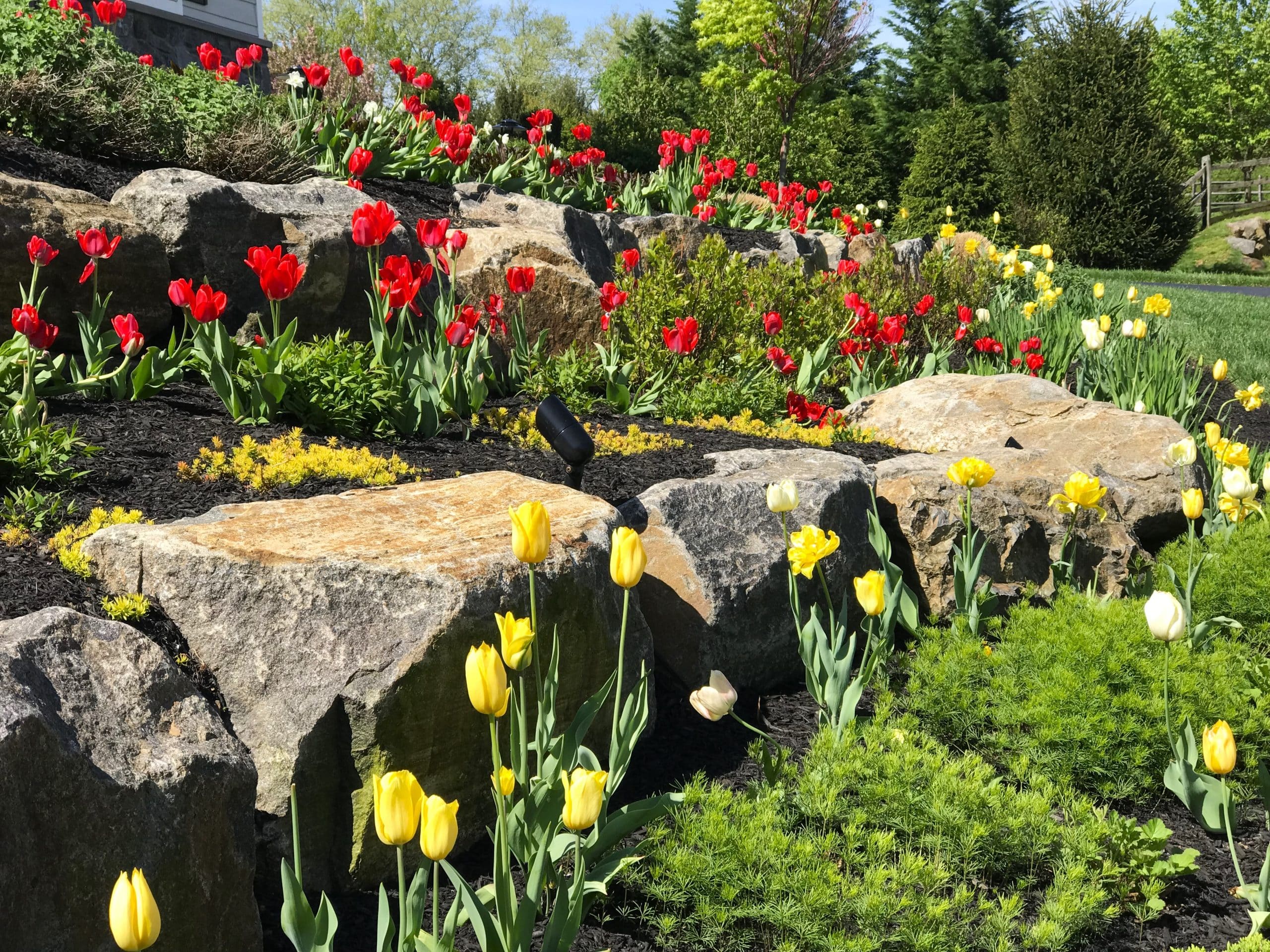 Planting by JHL
