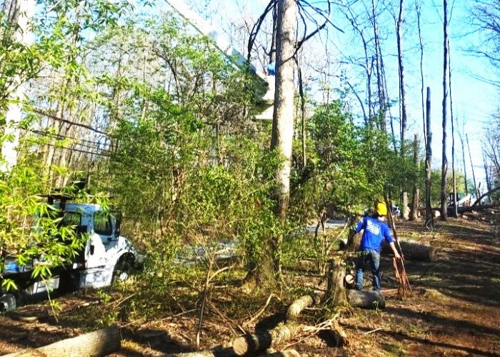 Specialty Landscaping Services by JHL Landscaping - Tree Work-Cleaning